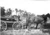 stoutsville1923kellybrosgroceriesdeliverywagon.jpg (26884 bytes)